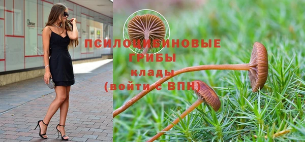 spice Белокуриха