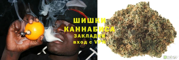 прущие крисы Белоозёрский