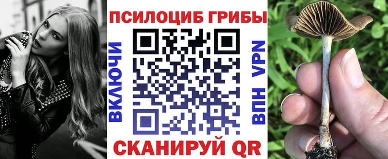 KRAKEN рабочий сайт  наркотики  Горняк  Галлюциногенные грибы Cubensis 